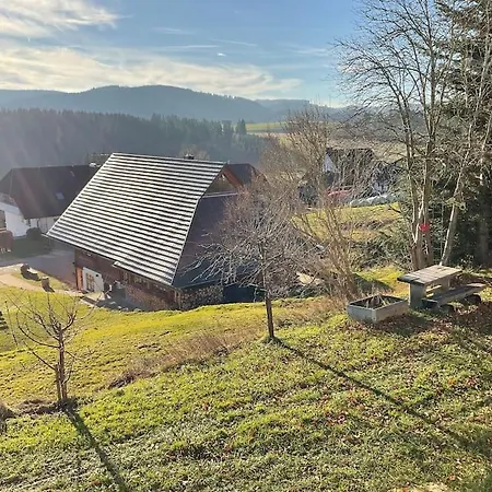 Zur Alten Schmiede Lejlighed *