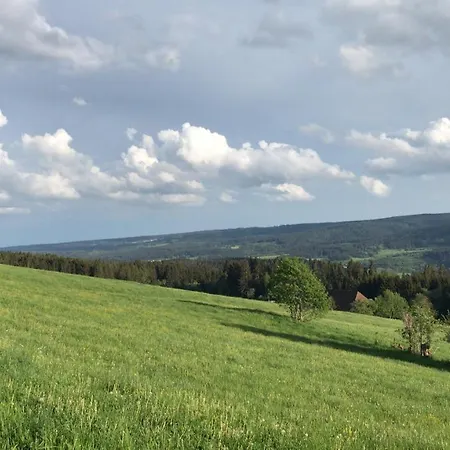 Zur Alten Schmiede Lejlighed Lenzkirch
